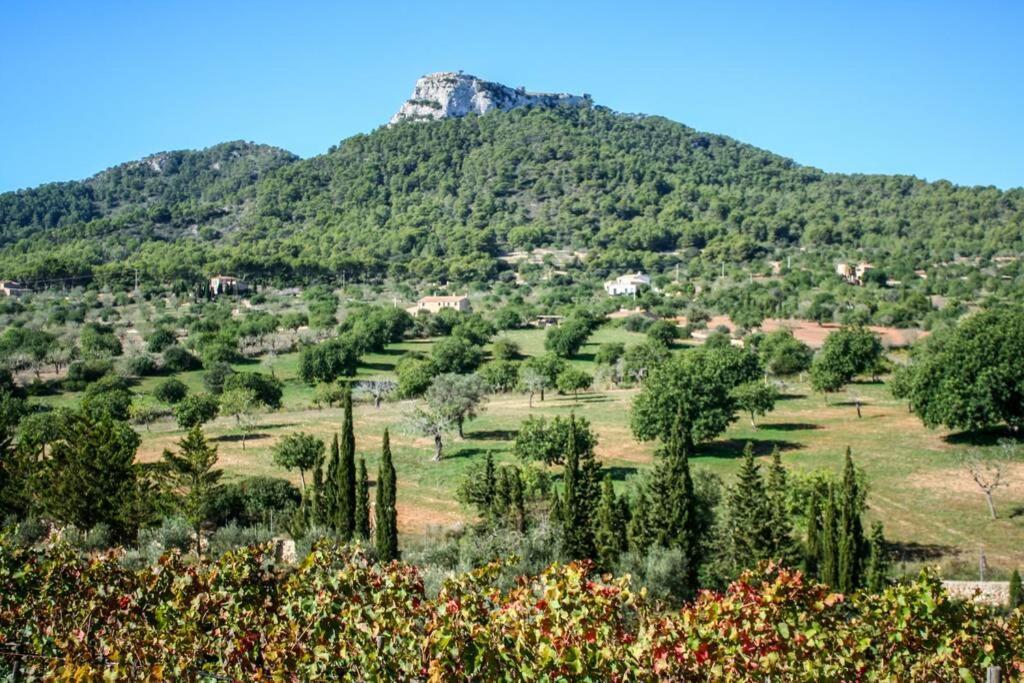 Es Castell De Ca N'Alou De Ses Cases Noves S'Horta Exterior foto